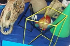 foto9