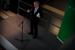 Dzień irlandzki (2)