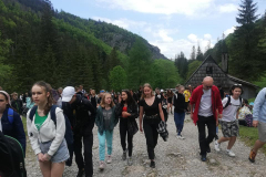 wolontariusze3