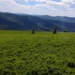 Wycieczka w Bieszczady